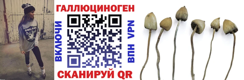 блэк спрут как зайти  Наволоки  маркетплейс телеграм  Псилоцибиновые грибы Magic Shrooms 